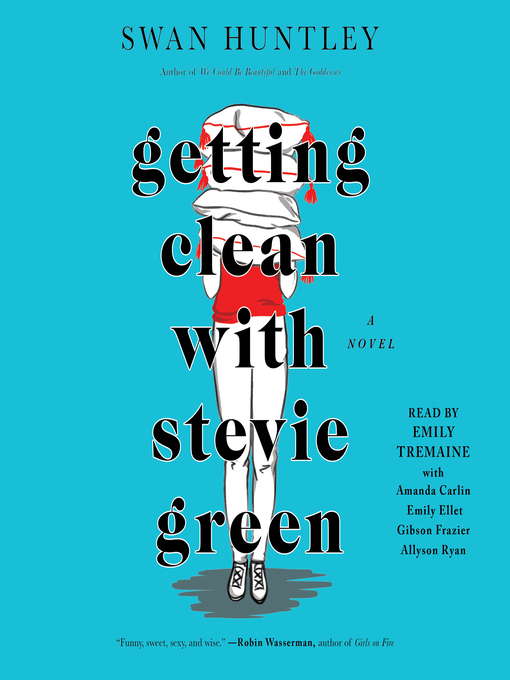 Title details for Getting Clean with Stevie Green by Swan Huntley - Wait list